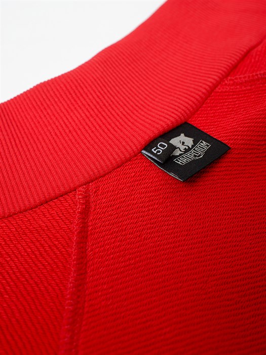 Спортивный костюм Россия красный - фото 7387