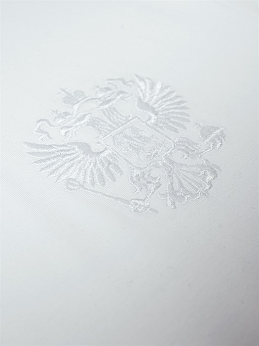 Футболка Россия с вышивкой белая - фото 7449