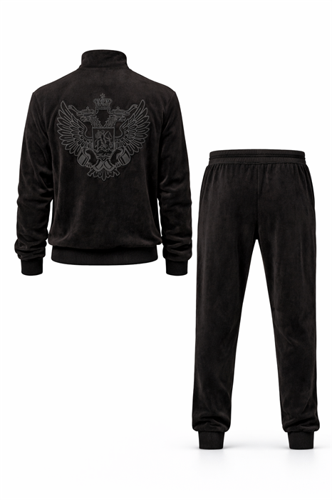 Спортивный костюм велюр Россия синий - фото 7546