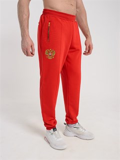 Спортивные брюки Россия красные 2358
