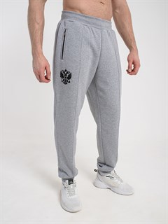 Спортивные брюки Россия серые 2360