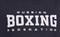 Футболка BOXING, графит - фото 7049