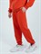 Спортивные брюки Россия красные - фото 7481