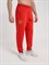 Спортивные брюки Россия красные 2358