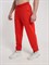 Спортивные брюки Россия красные 2358