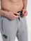 Спортивные брюки Россия серые 2360