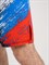 Шорты спортивные Россия с флагом черные - фото 7655
