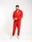 Спортивный костюм Россия красный - фото 7733